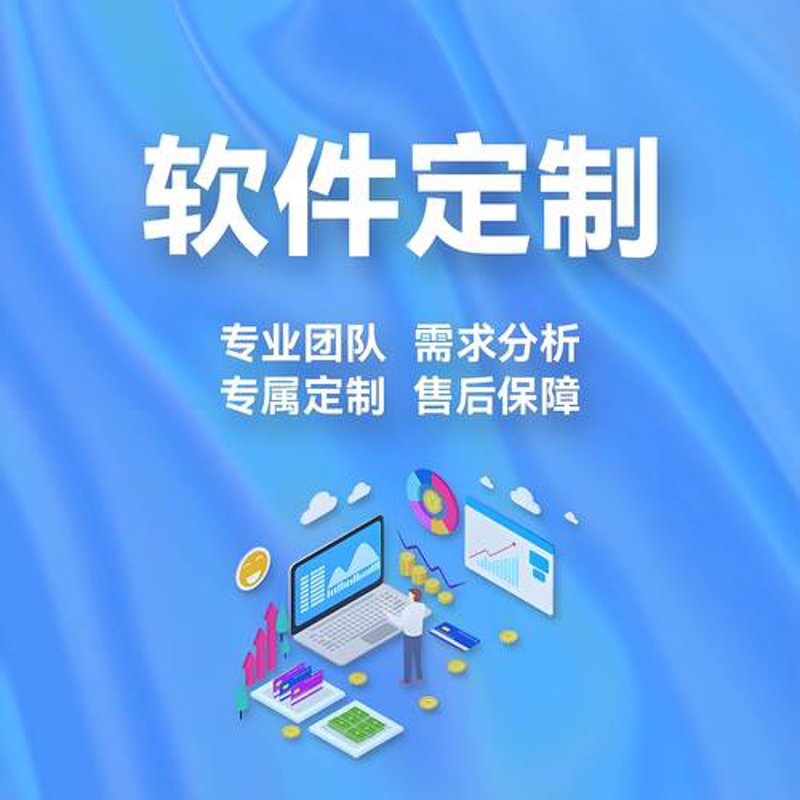 软件外包的选择之道：打造企业成长的加速器